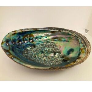 Iridescent Abalone Shell Decorative Bowl